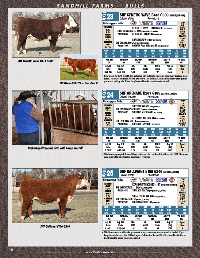sandhill catalog gallivant